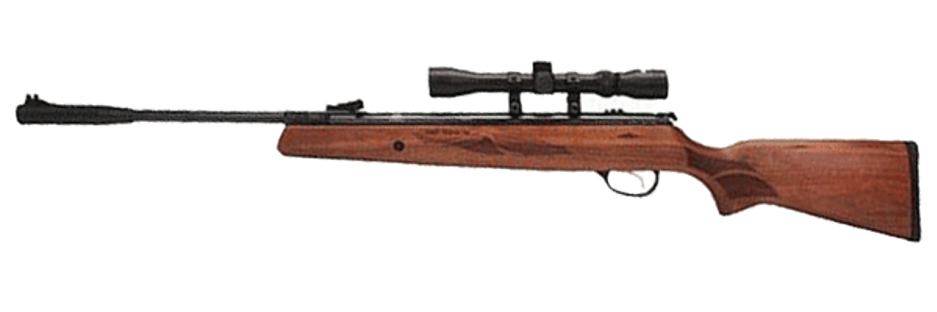 Hatsan 95 Air Rifle Combo, Walnut Stock Air 